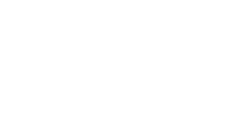 VU Berber